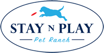 Stay & Play Pet Ranch